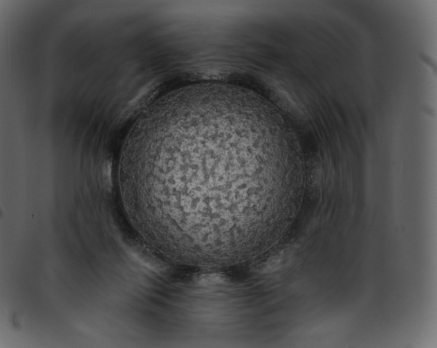 X0000095680262200801221232