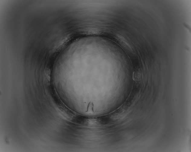 X0000095680264200801221232