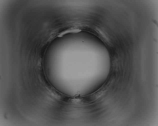 X0000095680265200801221232