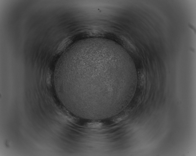 X0000095680266200801221232