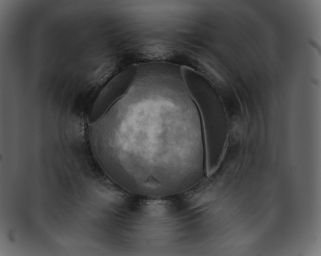 X0000095680268200801221232