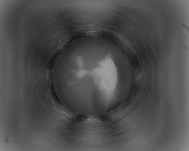 X0000095680270200801221232