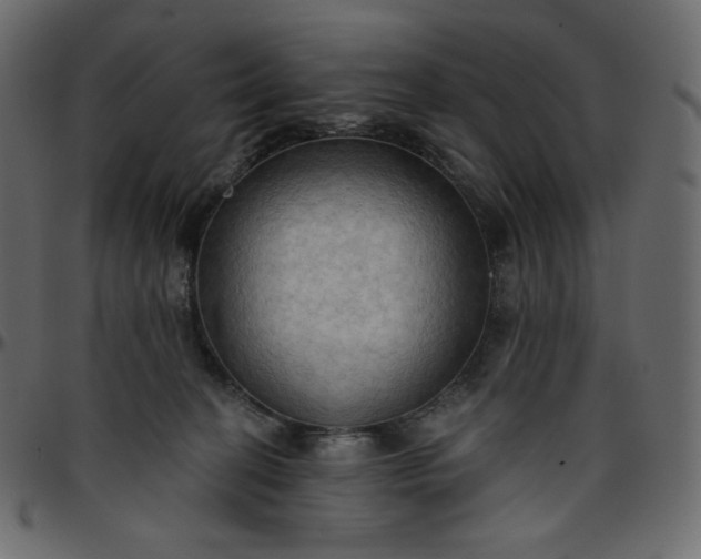 X0000095680274200801221232