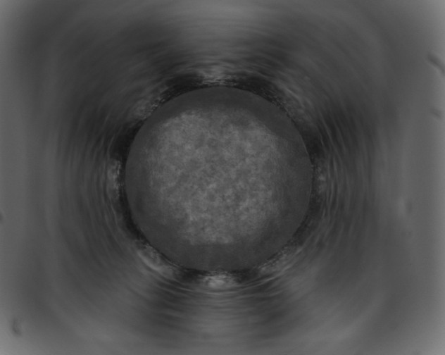 X0000095680275200801221232