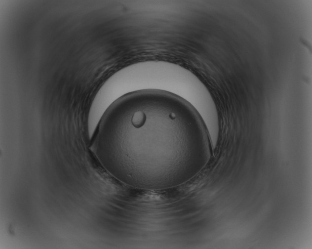 X0000095680276200801221232