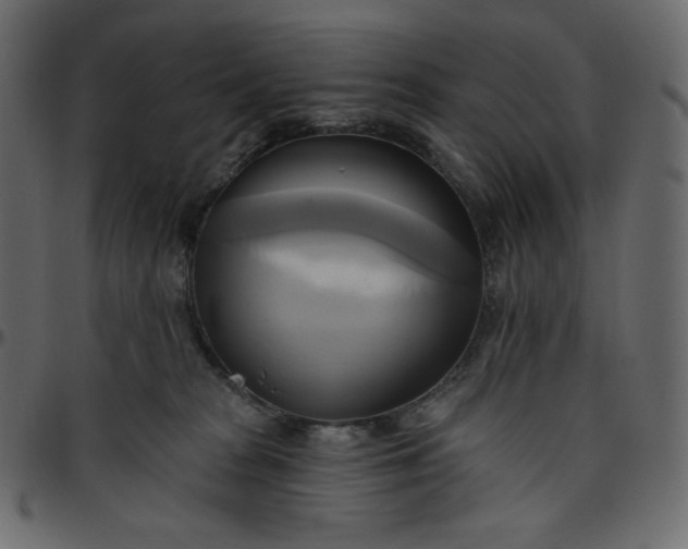 X0000095680277200801221232