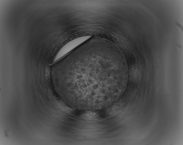 X0000095680278200801221232