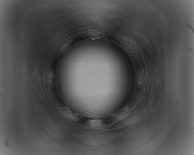 X0000095680279200801221233