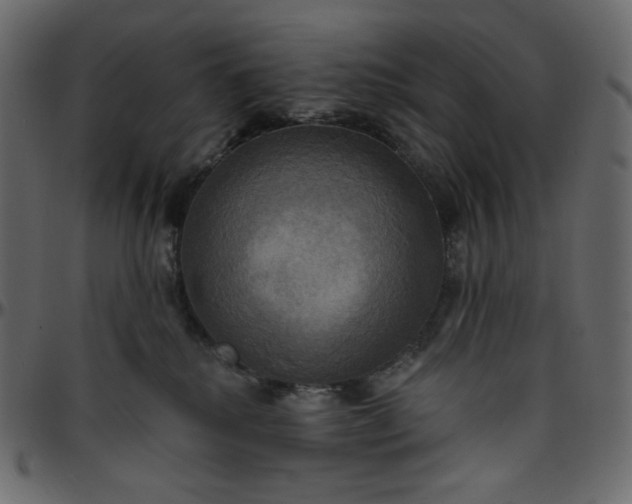 X0000095680280200801221233