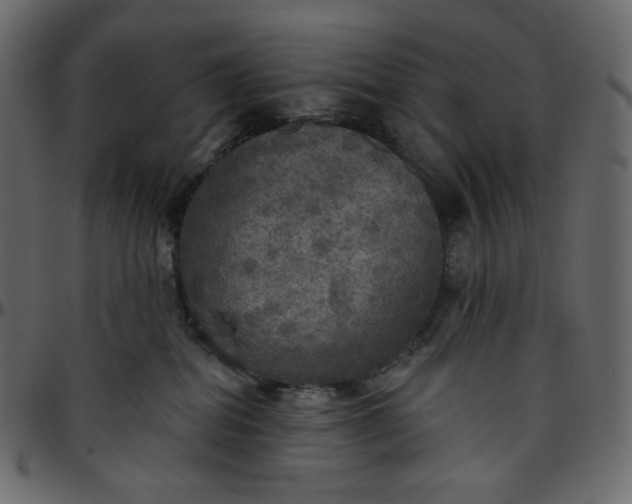 X0000095680282200801221233