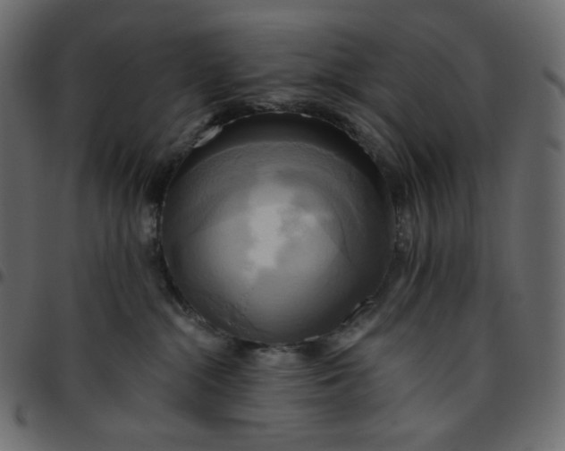 X0000095680284200801221233