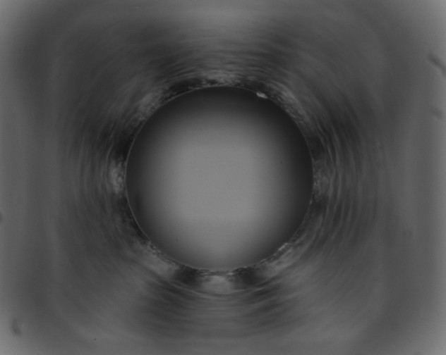 X0000095680285200801221233