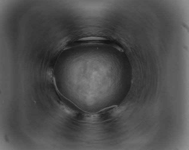 X0000095680288200801221233