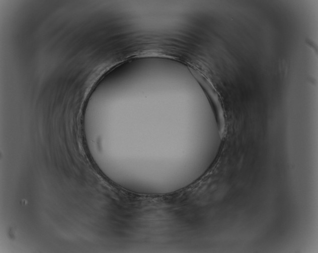 X0000095680289200801221232