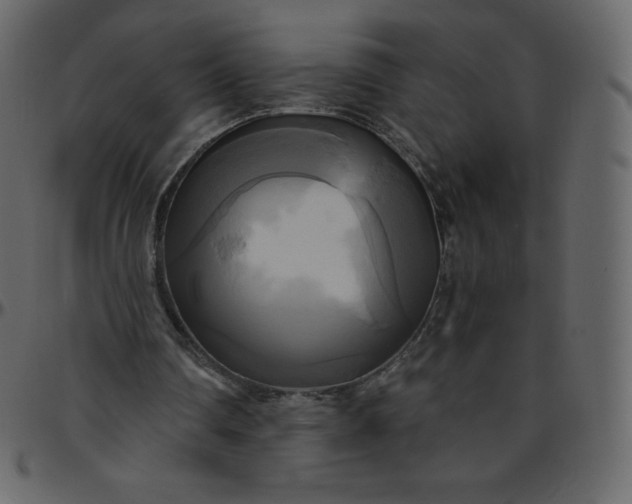 X0000095680290200801221232