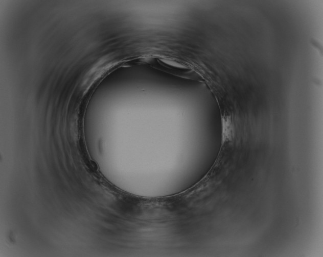 X0000095680291200801221232