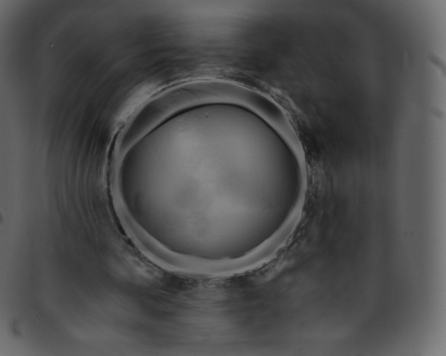 X0000095680292200801221232