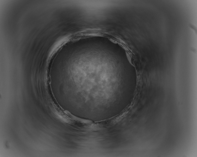 X0000095680293200801221232