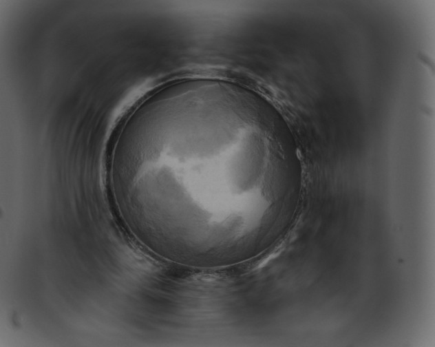 X0000095680294200801221232