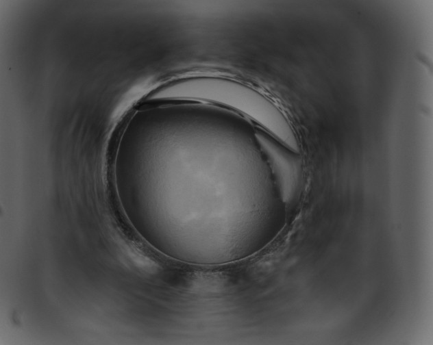 X0000095680296200801221232