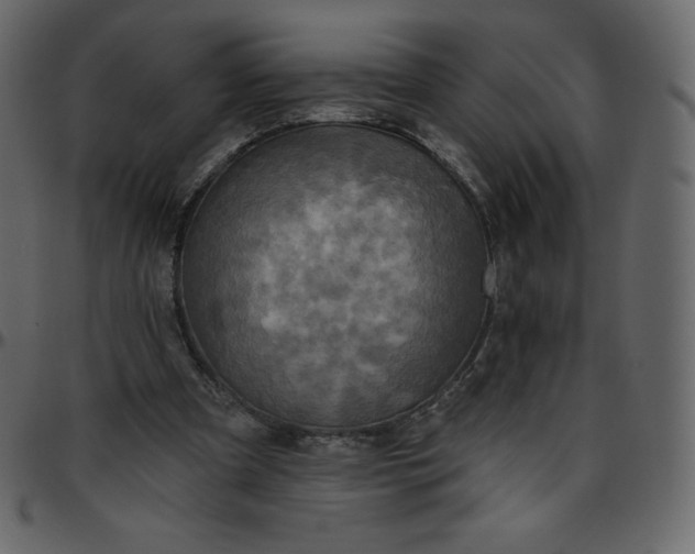 X0000095680297200801221232