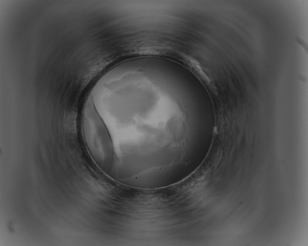 X0000095680299200801221232