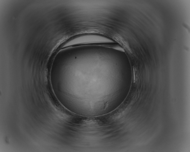 X0000095680300200801221232