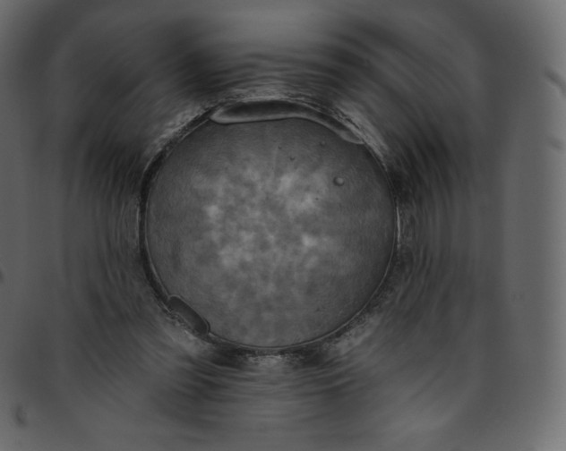 X0000095680301200801221232