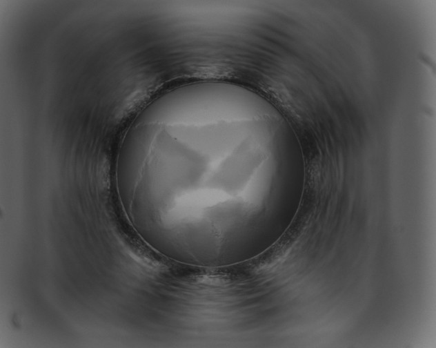 X0000095680303200801221232