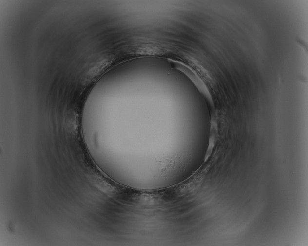 X0000095680305200801221232