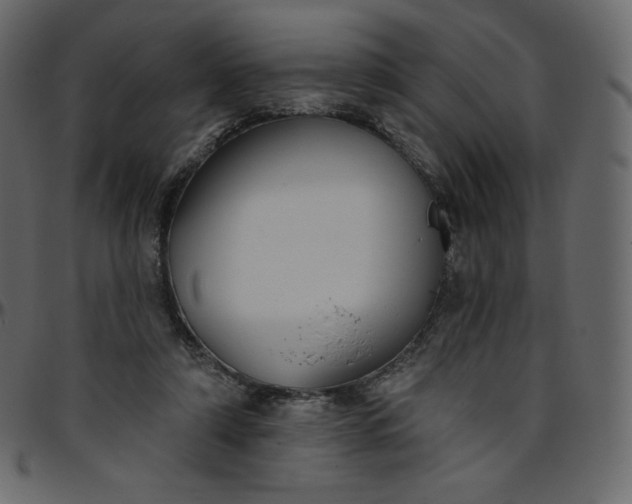 X0000095680306200801221232