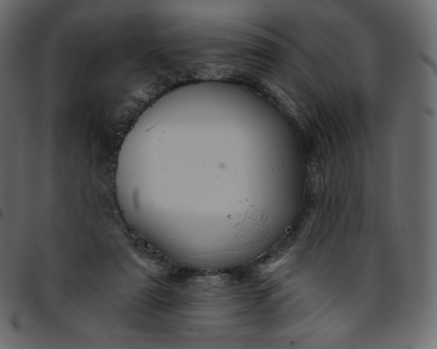 X0000095680307200801221232