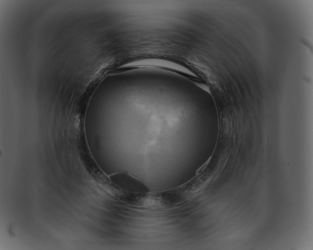 X0000095680308200801221232