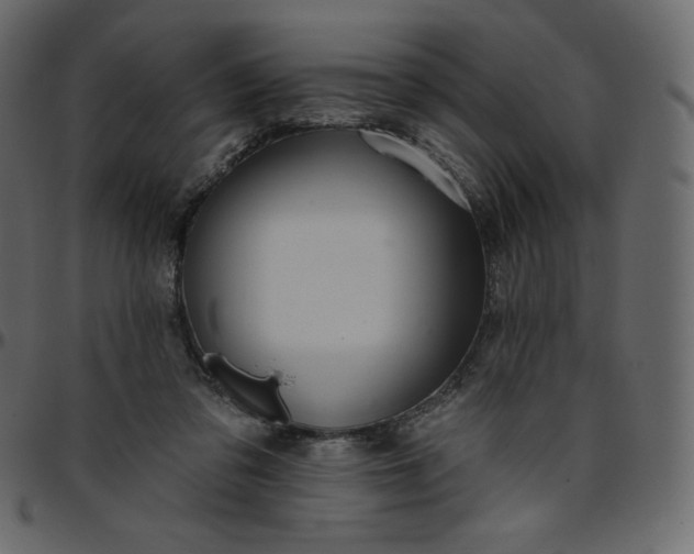 X0000095680309200801221232