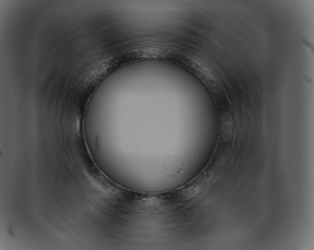 X0000095680310200801221232