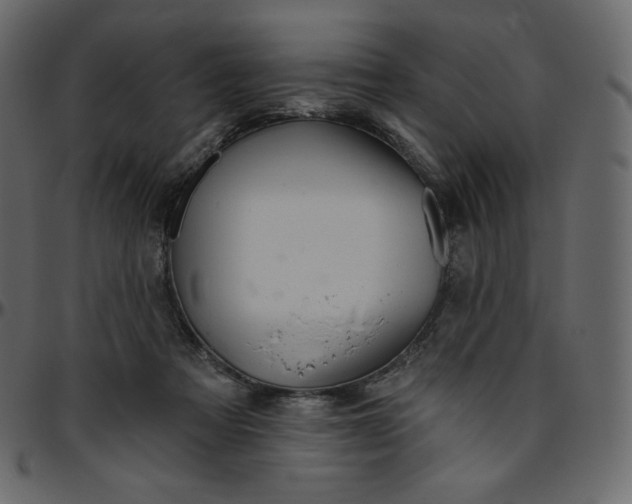 X0000095680313200801221231