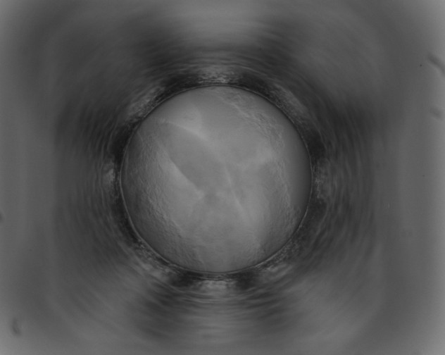 X0000095680314200801221231