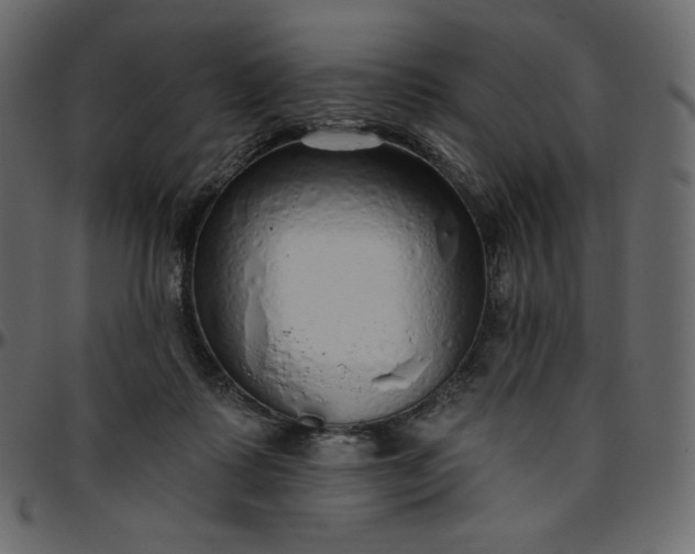 X0000095680315200801221231