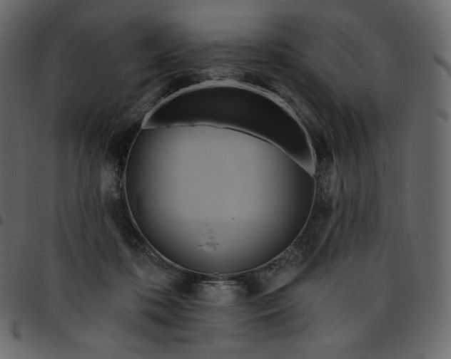 X0000095680316200801221231