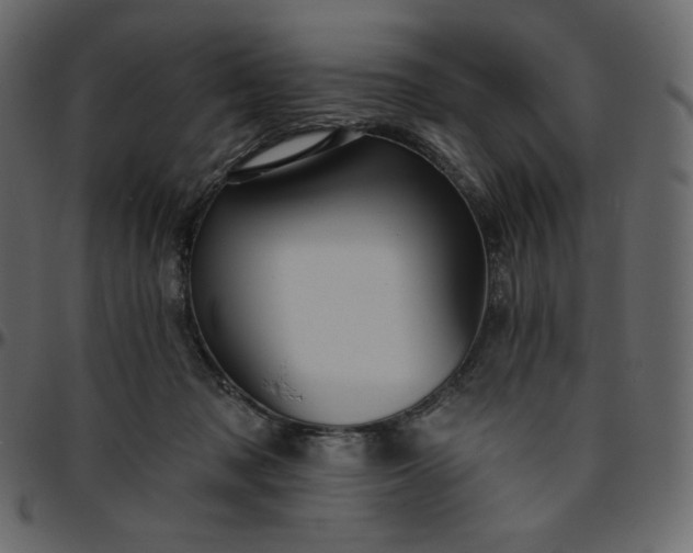 X0000095680317200801221231