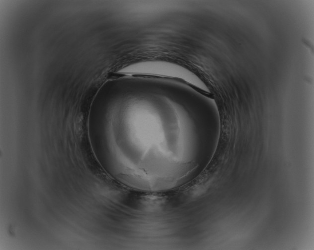 X0000095680319200801221231