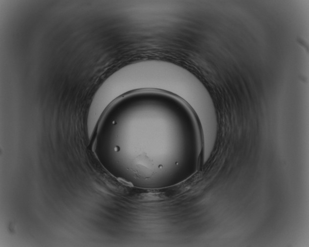 X0000095680320200801221231