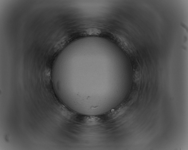 X0000095680321200801221231