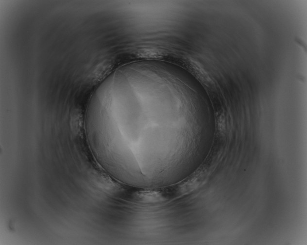 X0000095680322200801221231