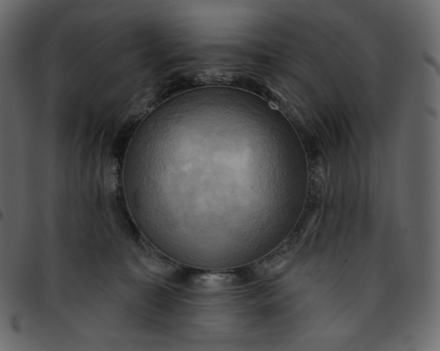 X0000095680323200801221231