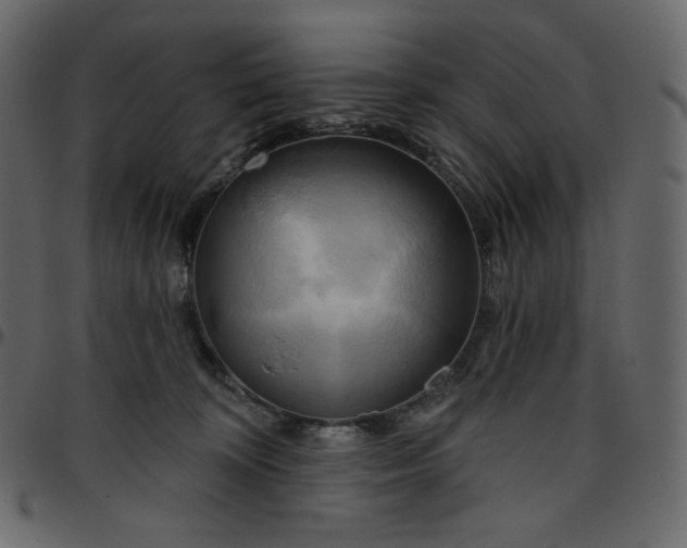 X0000095680324200801221231