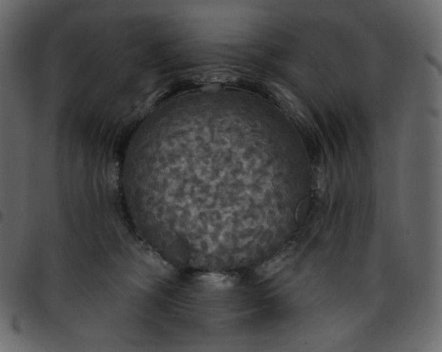 X0000095680326200801221231