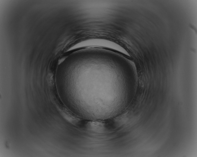 X0000095680327200801221231