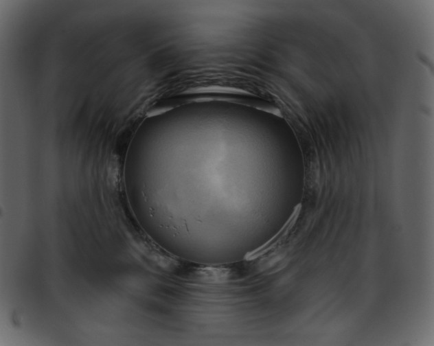 X0000095680328200801221231