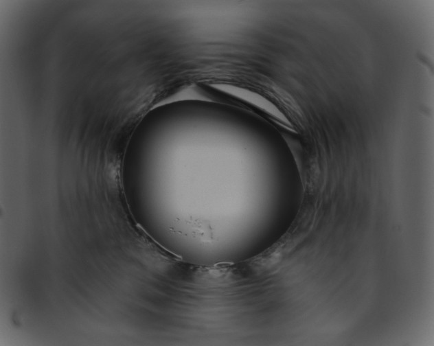 X0000095680329200801221231